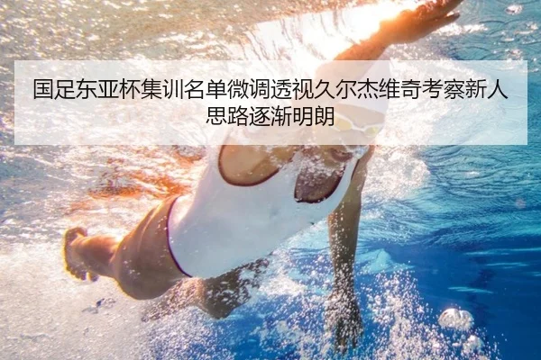 国足东亚杯集训名单微调透视久尔杰维奇考察新人思路逐渐明朗